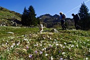 12 Saliamo verso i Campelli di Schilpario